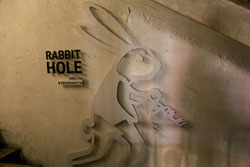  Rabbit Hole  -